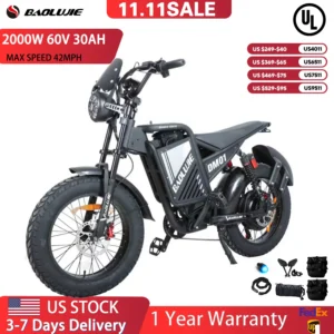 Motor Electric Bicycle 60V 30AH Battery Max Speed 42 MPH Electric Bike 20*40 Inch Fat Tire E-Bike Electric Motorcycle for Adult