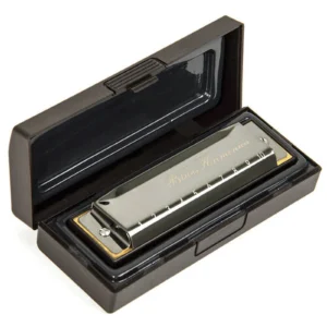 Stainless Steel 10 Hole Key of C Kids Blues Harmonica French Harp Mouth Organ Phosphor Bronze Reeds High Quality