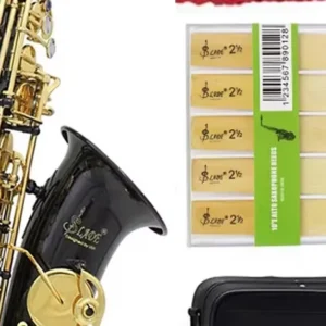 Alto Saxophone Eb E Flat Brass Lacquered Gold Black Sax With Case Gloves Cleaning Cloth Woodwind Musical Instrument Accessories