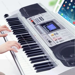 Piano 61 key electronic organ AA50EO